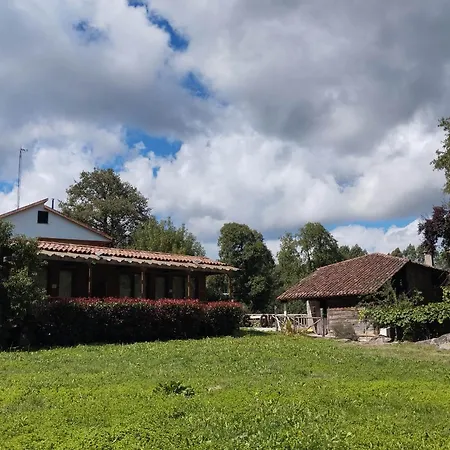 Del Molinero Palas de Rei