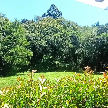 Appartement Del Molinero *