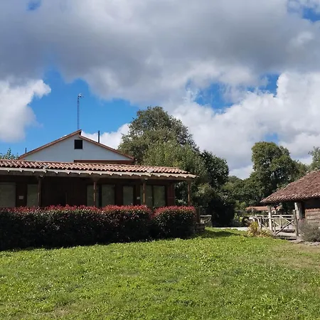 Del Molinero *