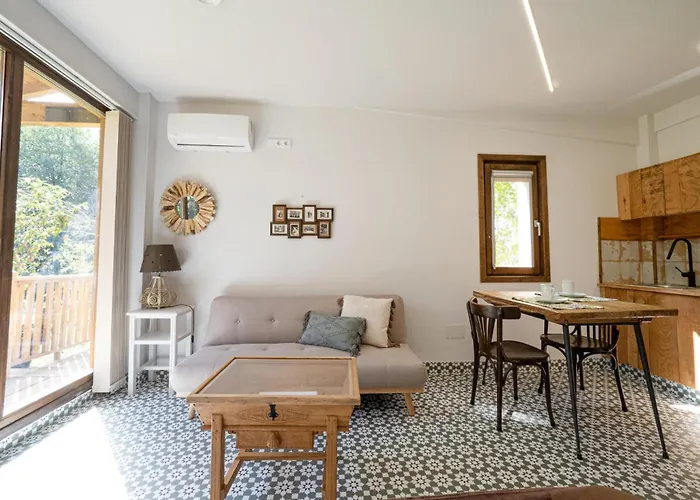 Del Molinero דירה